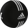 Medicine Ball AD-12221